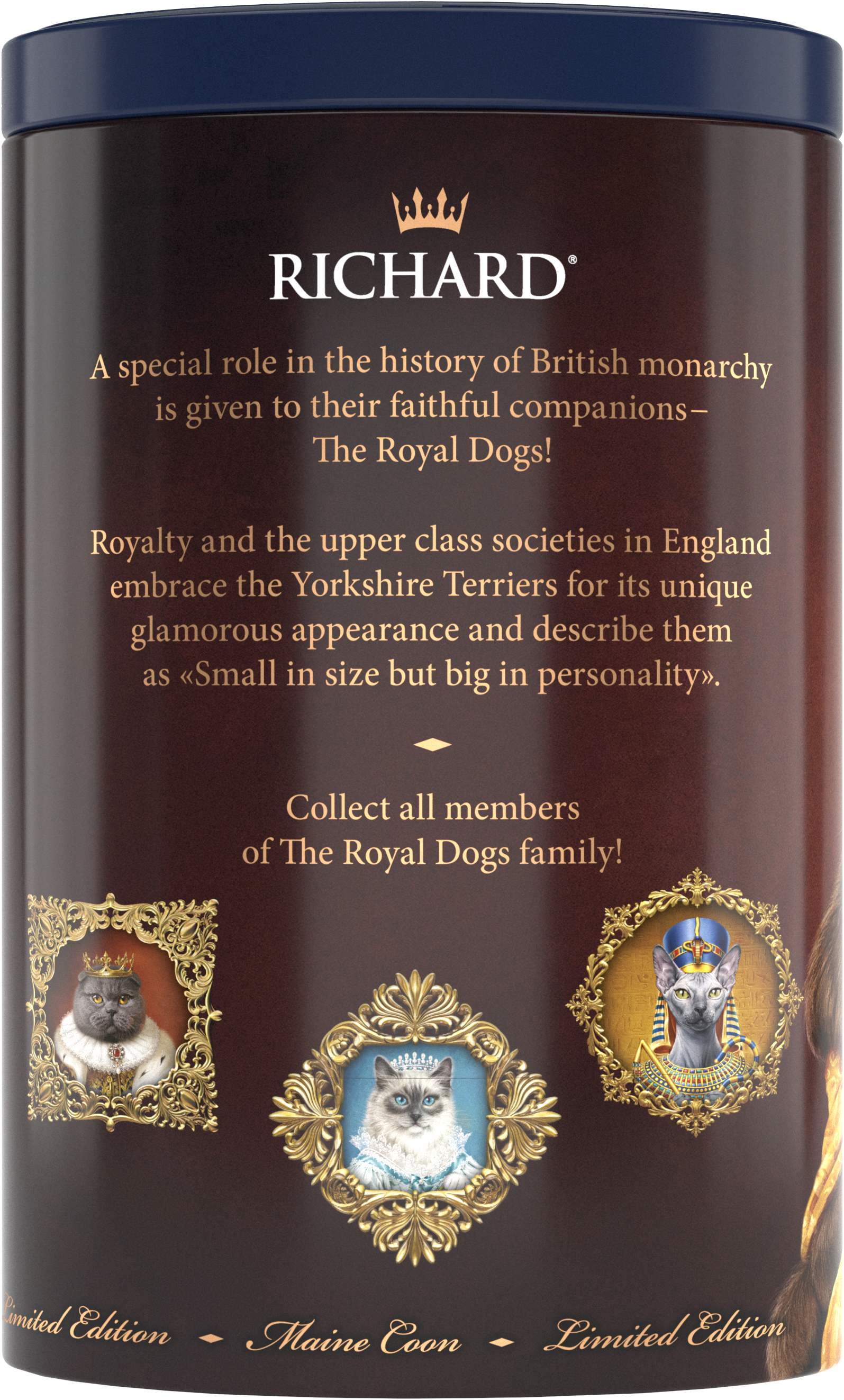 Richard Royal macskák, fekete tea 34g, 20 piramis-filterben, Maine Coon - RichardTeavn - vásároljon a 2990.00 Ft