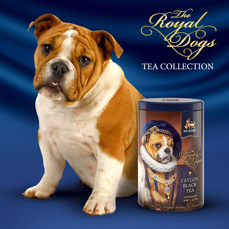 Richard Royal Kutyák, fekete tea, 34g, 20 piramis-filter, fémdoboz, Bulldog
